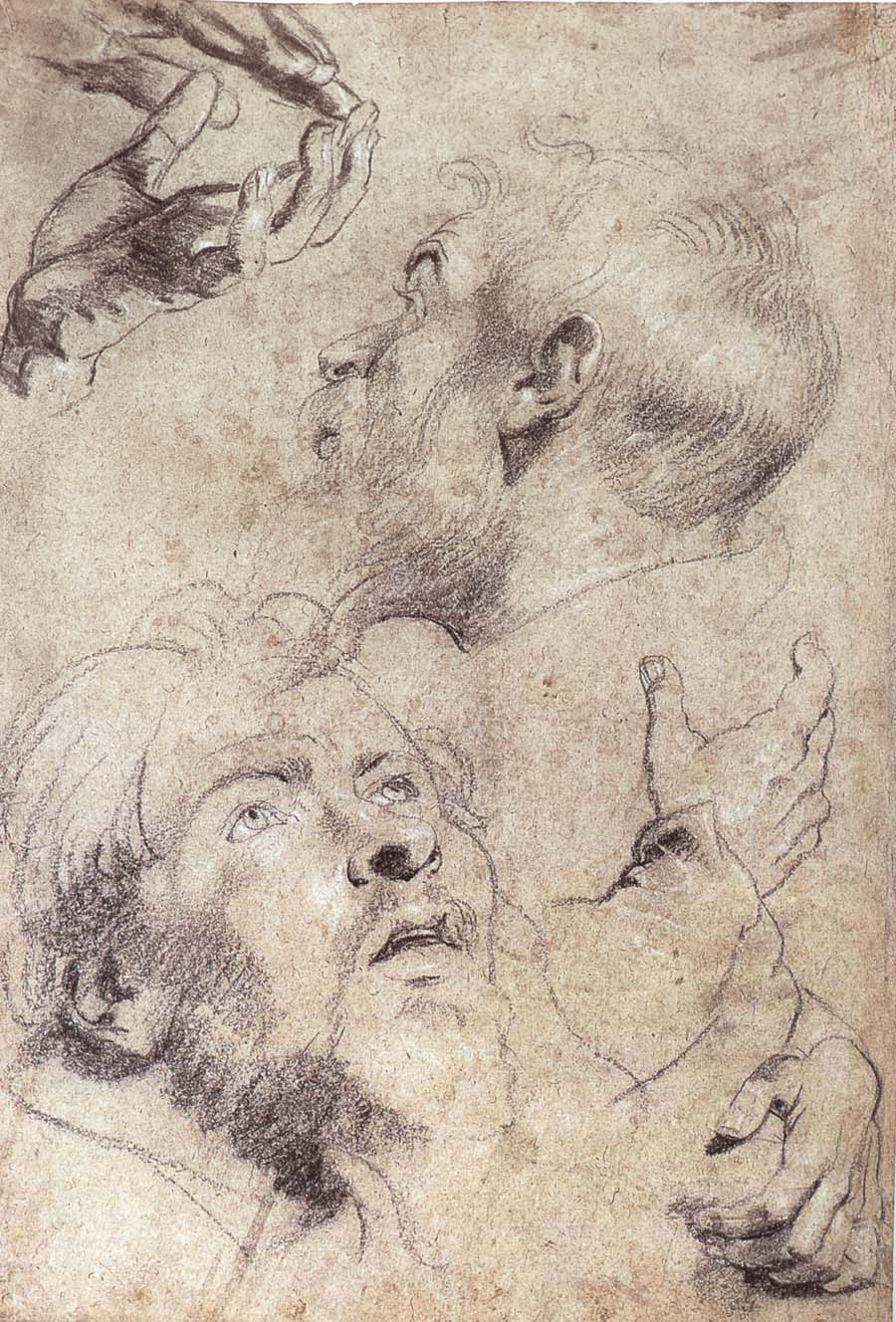 Four hand and two man-s head portrait